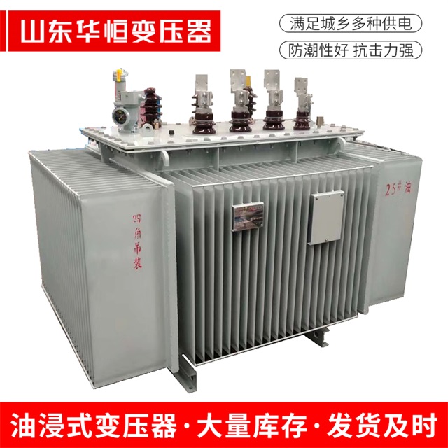 S13-10000/35洮北洮北洮北电力变压器厂家