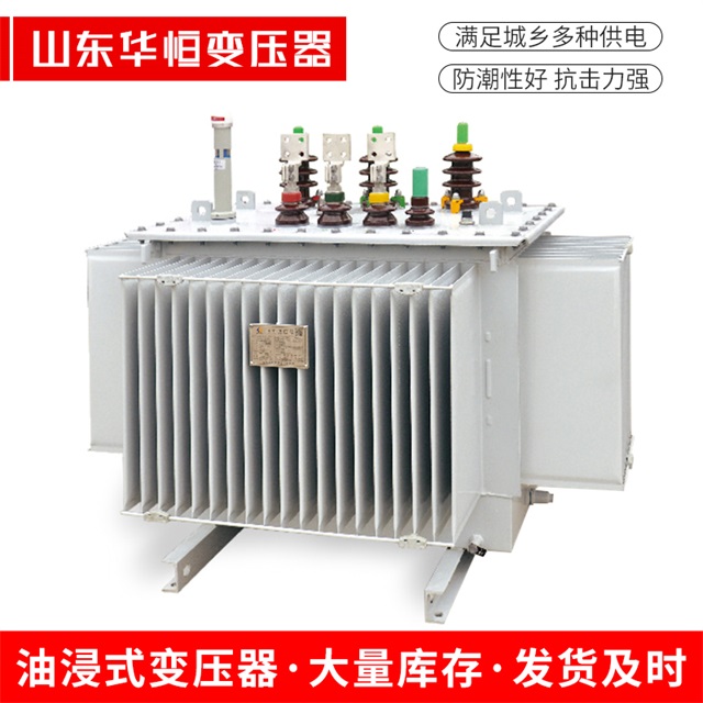S13-10000/35洮北洮北洮北电力变压器